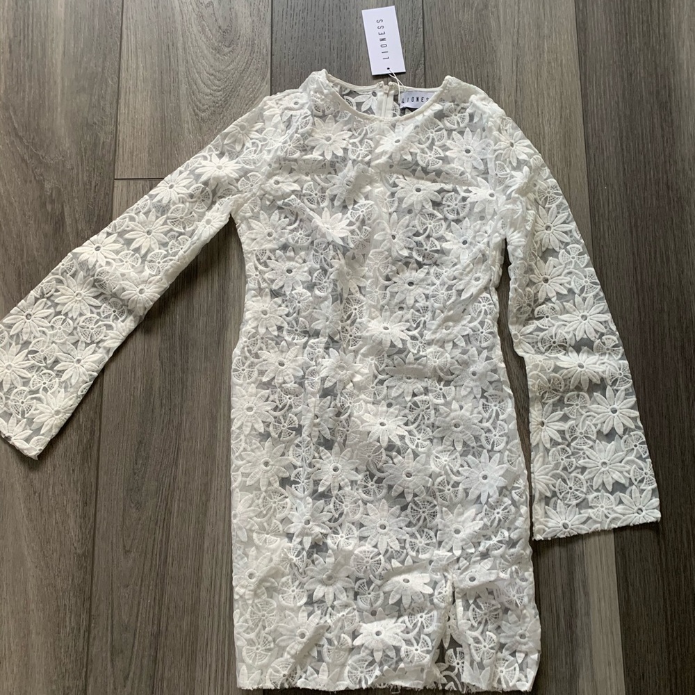 PRINCESS POLLY Sheer Lace Mini Dress